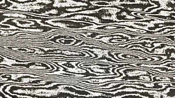 sauvage
