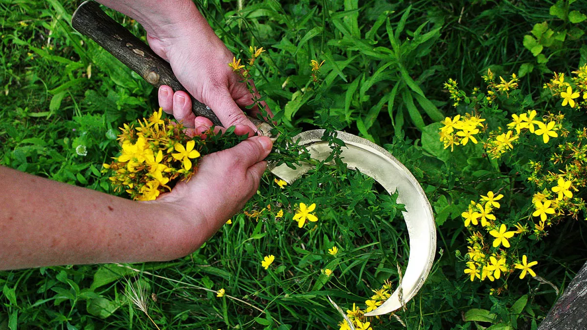 Image de gallerie 2-07