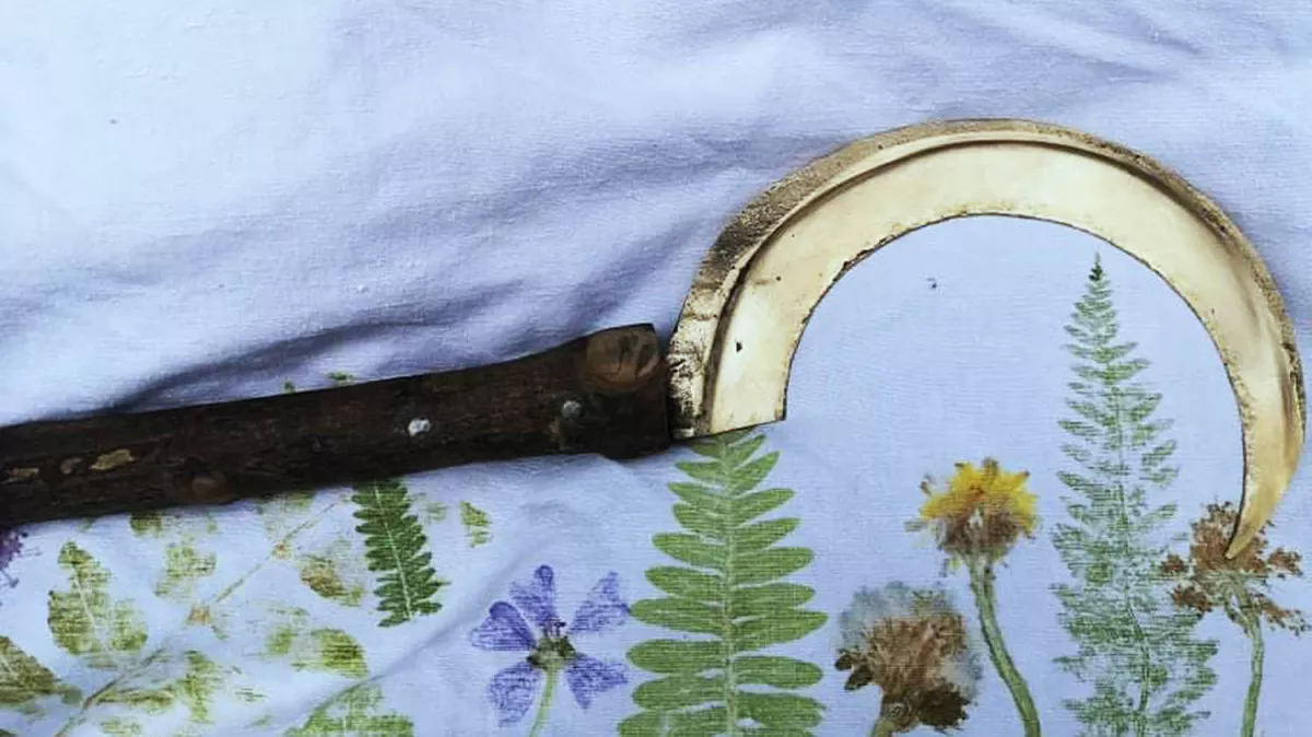 Image de gallerie 2-08