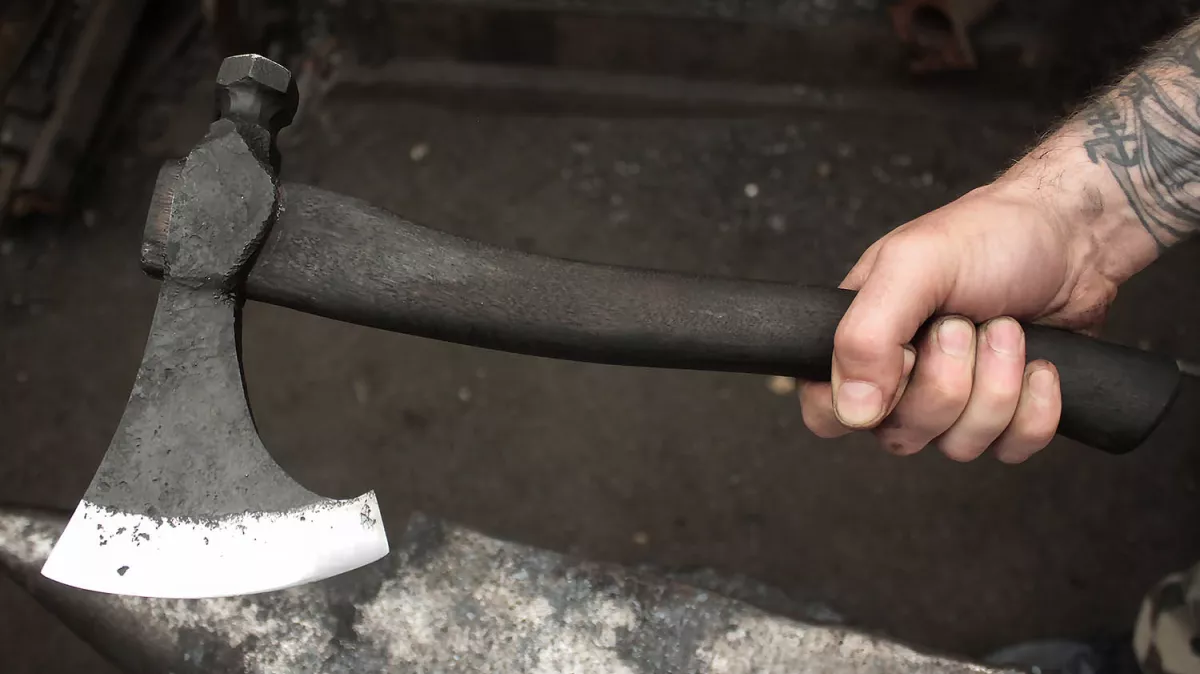 Image de gallerie 206