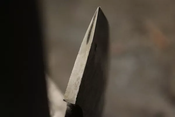 113
